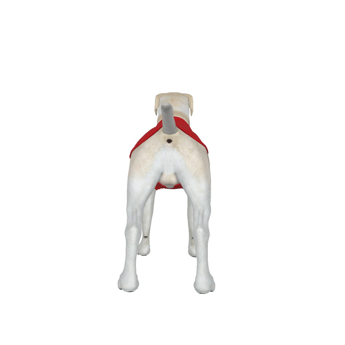 Frenchie-Red- My Owner Is Armed- Star Flag- Medium Dog's Tank Top